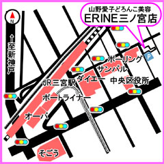 ERINEMAP