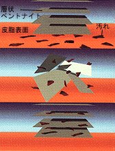 ベントナイトの吸着メカニズム